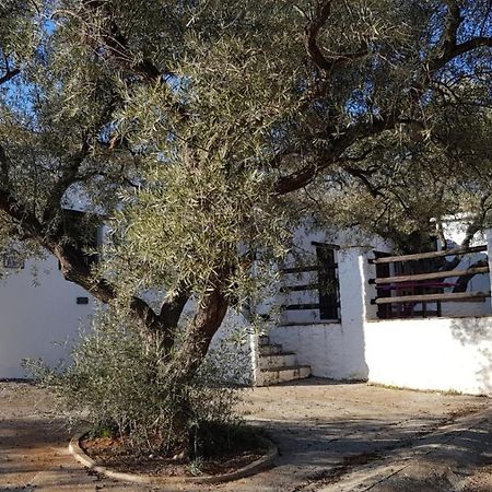 Gateway To The Alpujarras, 'Cortijo Derry' Hotel Orgiva Ngoại thất bức ảnh