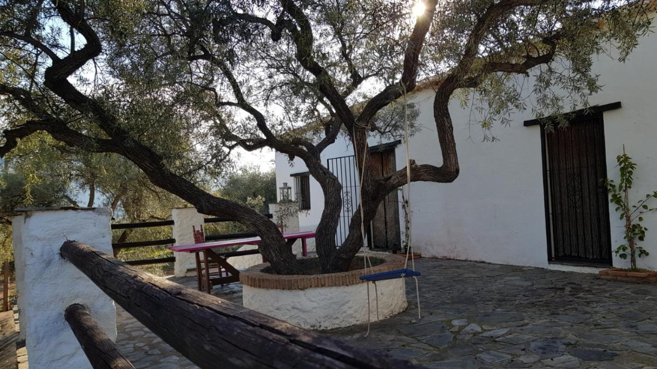 Gateway To The Alpujarras, 'Cortijo Derry' Hotel Orgiva Ngoại thất bức ảnh