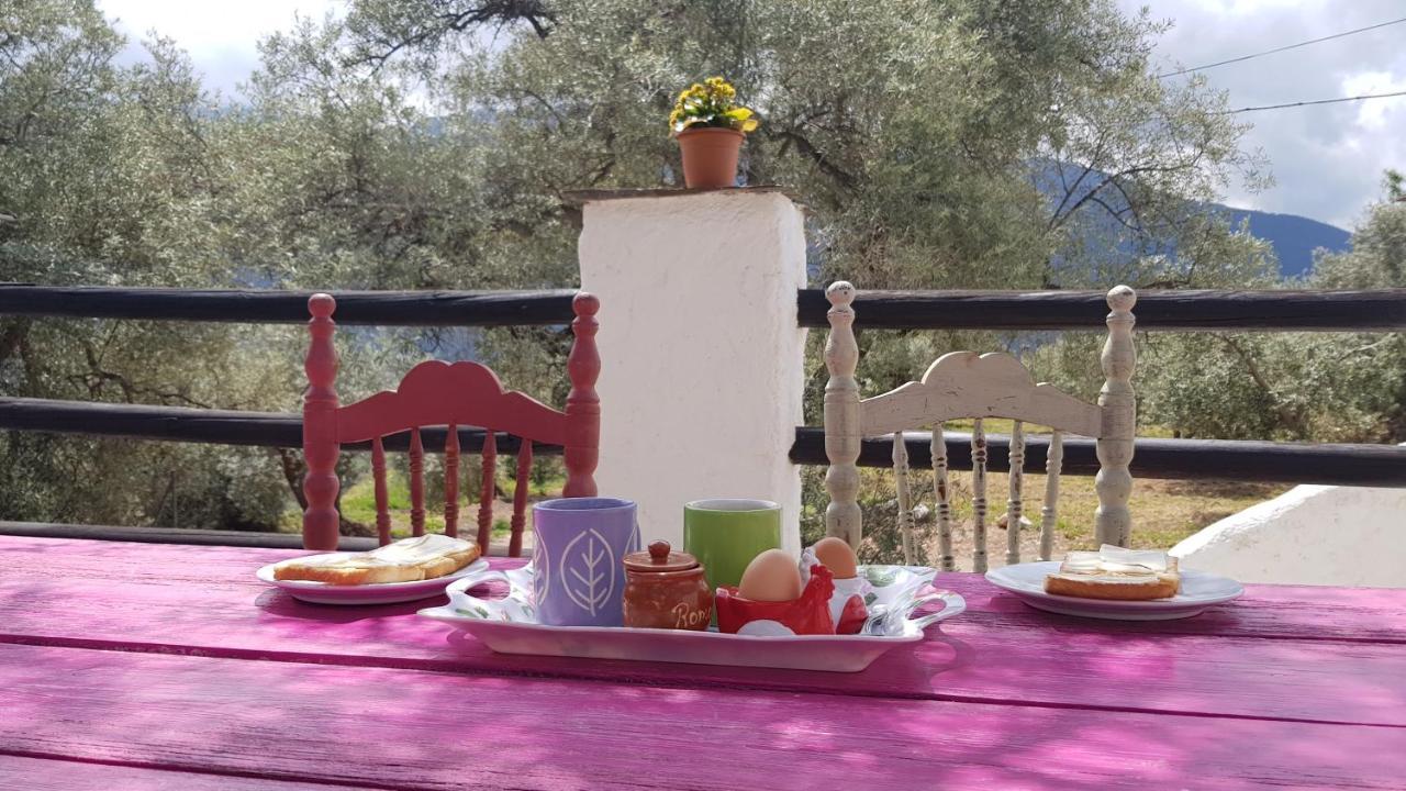 Gateway To The Alpujarras, 'Cortijo Derry' Hotel Orgiva Ngoại thất bức ảnh