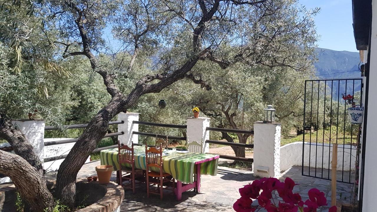 Gateway To The Alpujarras, 'Cortijo Derry' Hotel Orgiva Ngoại thất bức ảnh