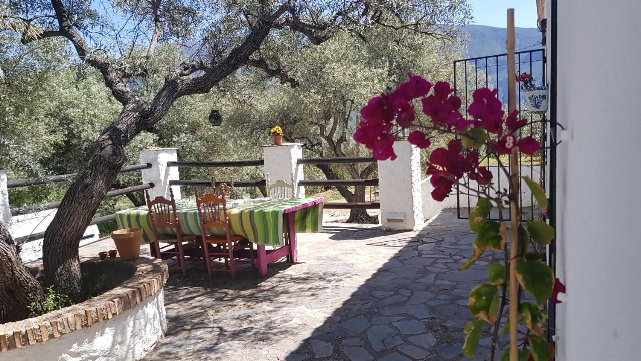 Gateway To The Alpujarras, 'Cortijo Derry' Hotel Orgiva Ngoại thất bức ảnh