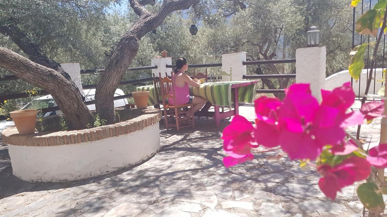 Gateway To The Alpujarras, 'Cortijo Derry' Hotel Orgiva Ngoại thất bức ảnh