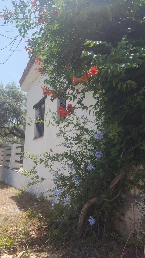 Gateway To The Alpujarras, 'Cortijo Derry' Hotel Orgiva Ngoại thất bức ảnh
