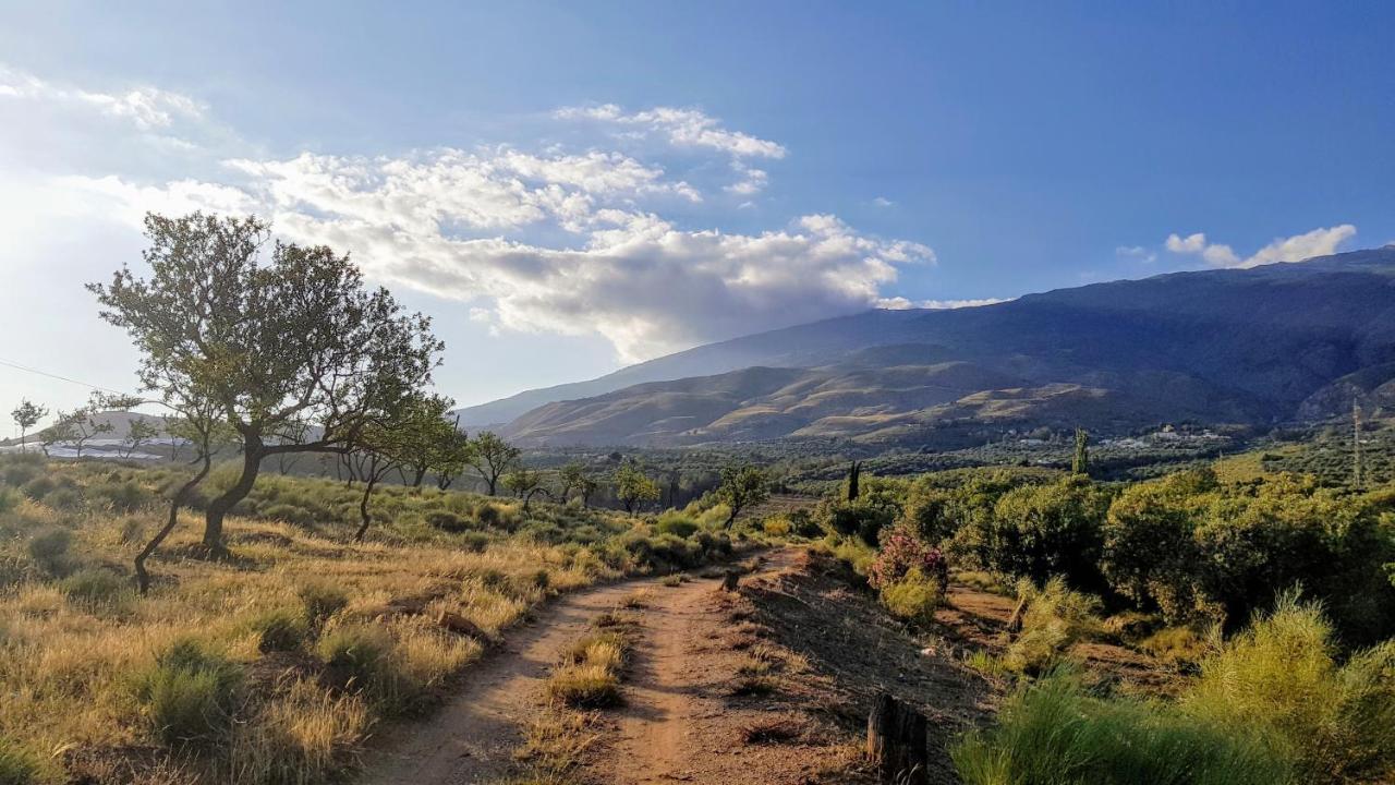 Gateway To The Alpujarras, 'Cortijo Derry' Hotel Orgiva Ngoại thất bức ảnh