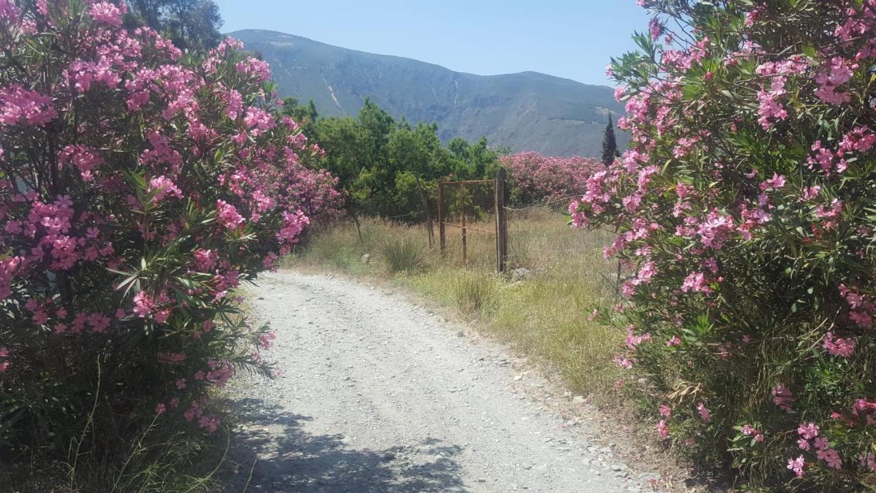Gateway To The Alpujarras, 'Cortijo Derry' Hotel Orgiva Ngoại thất bức ảnh