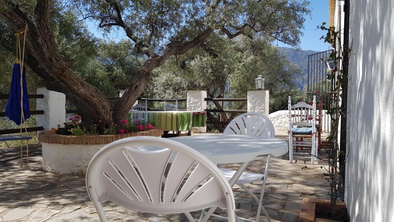 Gateway To The Alpujarras, 'Cortijo Derry' Hotel Orgiva Ngoại thất bức ảnh